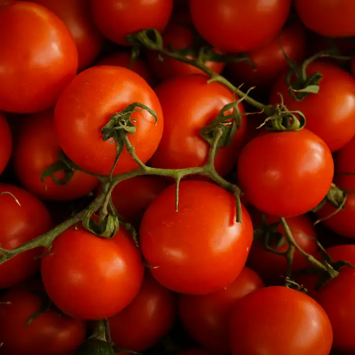 Tomates rouges bien mûres, encore attachées à leur grappe.